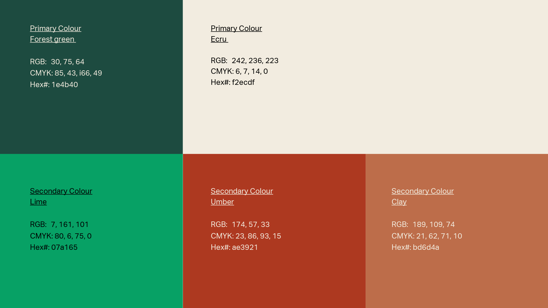 Montum - Branding - Colour Palette
